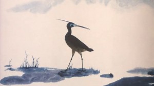 L'aigrette et l'huître